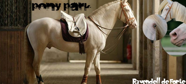 Pony Park. for ponyfans # version 4.